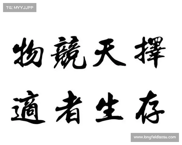 阴阳符文与宇宙观的深层关系探析与哲学意义的现代解读 阴阳符文与宇宙观的深层关系探析与哲学意义的现代解读