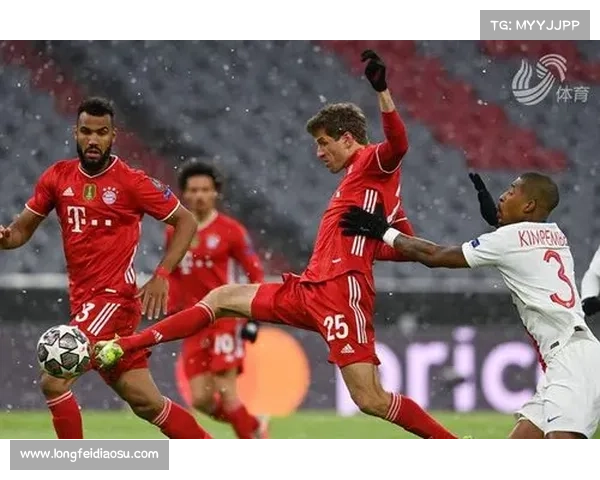 从拜仁体育场名称解析看地域文化象征与品牌融合的五个关键点